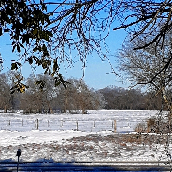 Meet your Posher, Ruthie - Picture 1 of 1